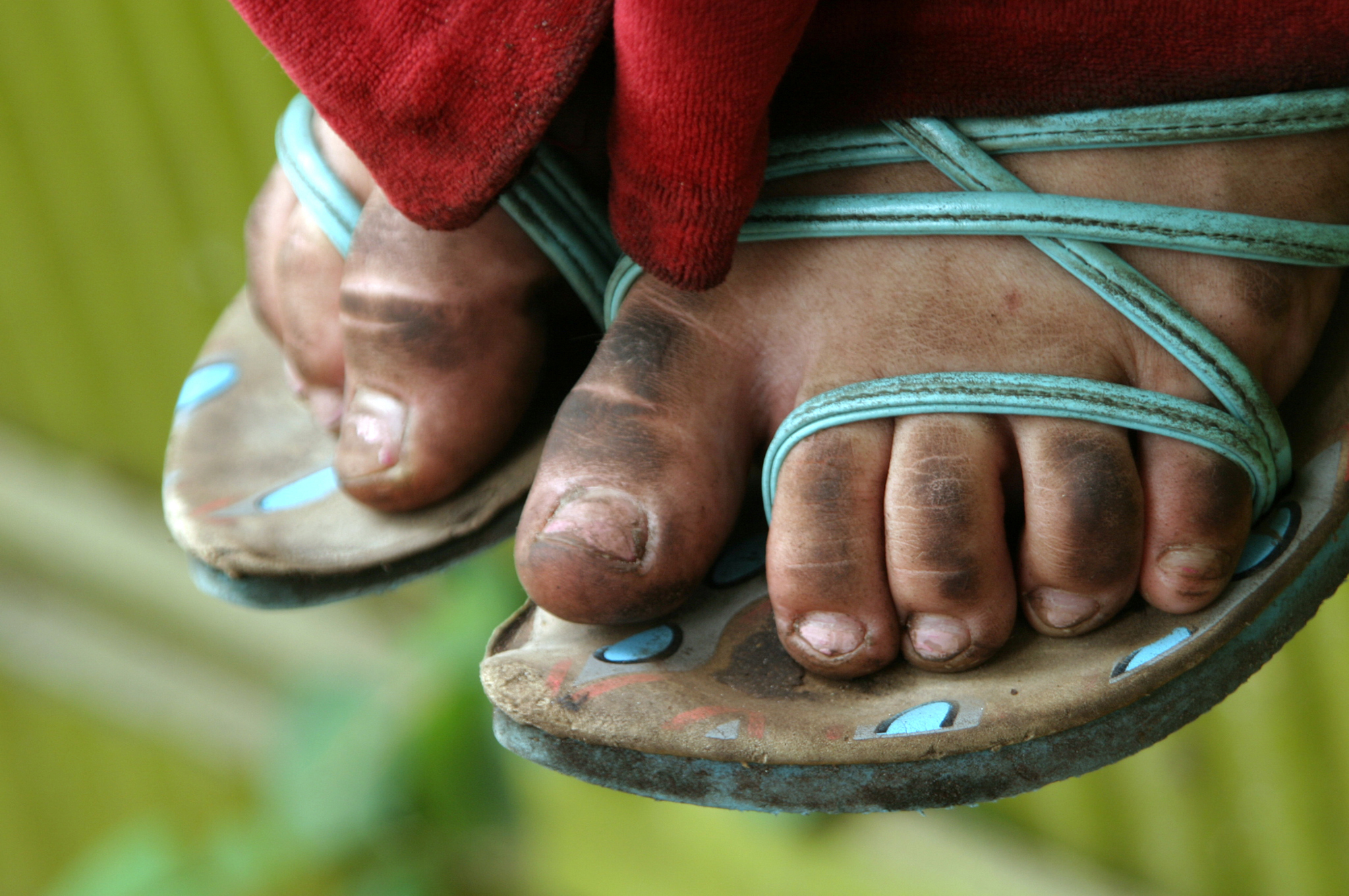 Photo 7 from The Advocates for Human Rights